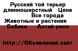 Русский той-терьер длинношерстный › Цена ­ 7 000 - Все города Животные и растения » Собаки   . Алтай респ.